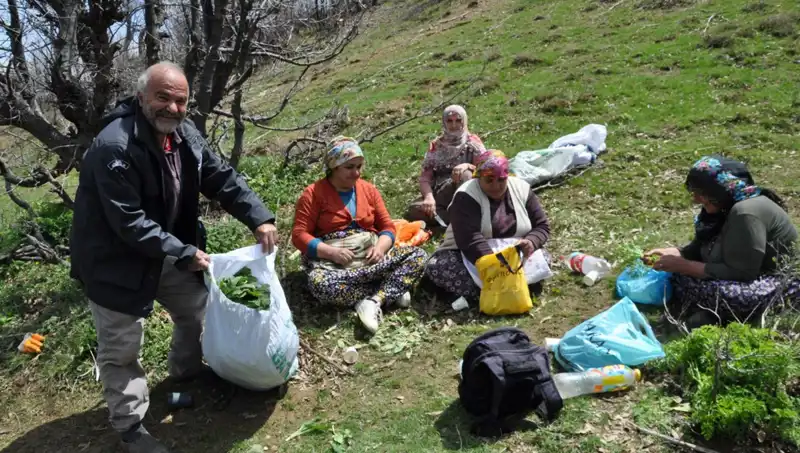 Toprak Ayaklarıyla Yürüyüp Geliyorlar: Sürdürülebilir Gelir Elde Etme Mücadelesi