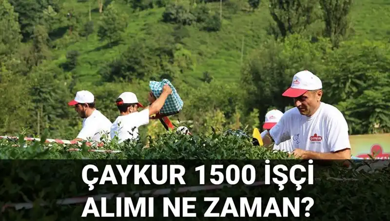 Çaykur İşçi Alımı Başvuru Tarihleri Açıklandı! Kaç Kişi Alınacak?