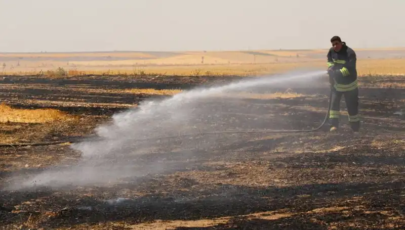 Eskişehir'de Trafo Yangını Tarım Arazisini Kül Etti: Zarar Büyük