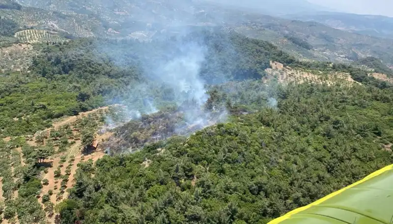 Aydın'da Tedirginlik Yaratan Orman Yangını, Alevler Kontrol Altına Alındı!