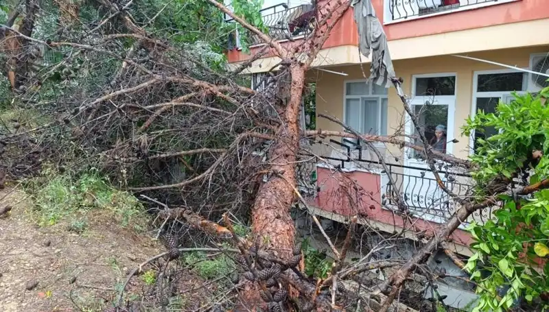 Yağmurlar Sonucu Metruk Bina Devrildi: Mahallede Korku Dolu Anlar