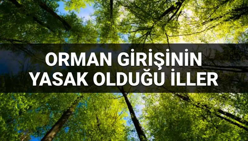 2025'te Ormana Girmek Yasaklanan İllerin Listesi Açıklandı