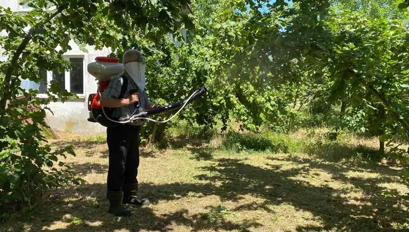 Çiftçilerin Umudu: Kükürt ve Samuray Arısıyla Tarımda Devrim