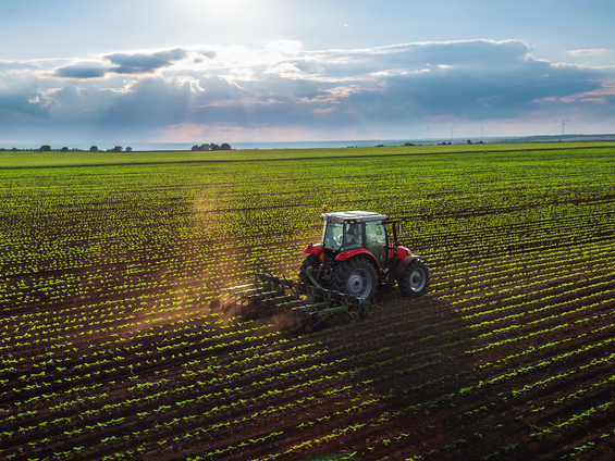 Ekonomik Büyüme Türkiye’nin Tarım Sektörünü Neden Kurtaramıyor?
