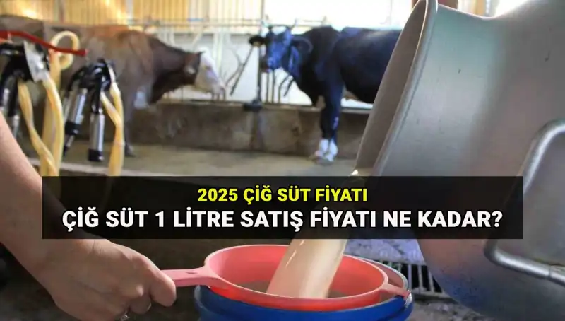 2025'te Çiğ Süt Fiyatları Ne Olacak? Gözler Ulusal Süt Konseyi'nde!