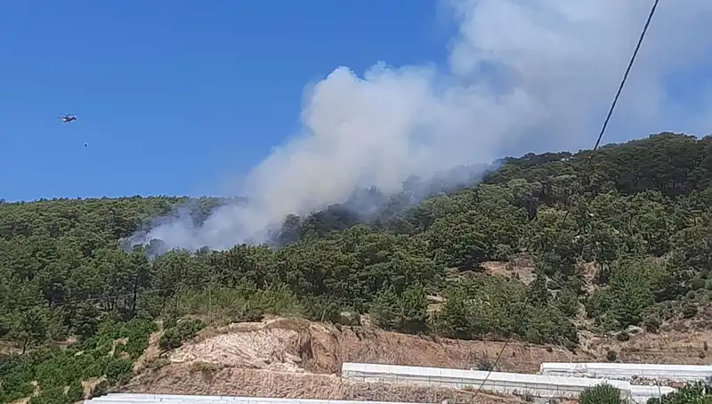 Kumluca’da Orman Yangını: Ekipler Seferber Oldu, Yangın Kontrol Altında