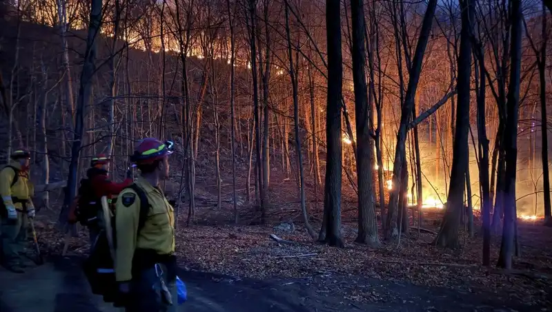 New York Ormanlarında Tehlikeli Yangın: Acil Durum İlan Edildi