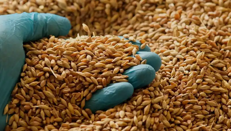 Kalp Sağlığınızı Koruyacak Beslenme Tarifleri ve İpuçları