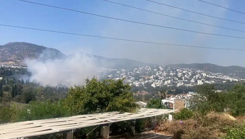 Muğla'daki Orman Yangınları Kontrol Altında: Son Durum ve Gelecek Adımlar