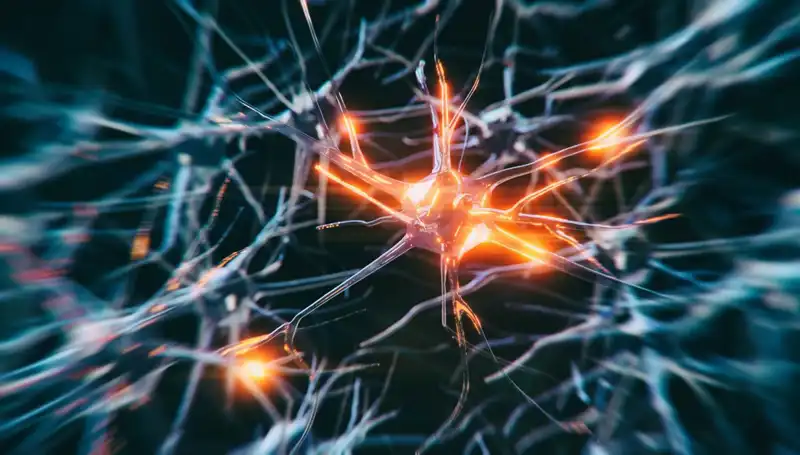 Alzheimer Vakalarındaki Artışın Arkasındaki Sebepler ve Çözüm Önerileri