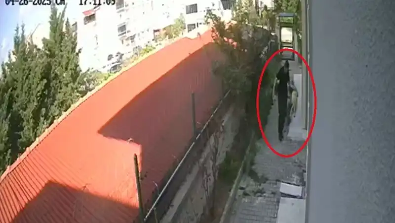 Veteriner Doktorun Şok Edici Eylemi: Evinde Sahiplendiği Köpekleri Katletti