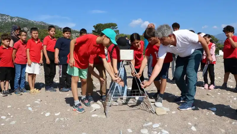 Kemer'de Caretta Caretta Koruma Yasakları Başladı: Tiger'ların Cenneti Tehlikede Mi?