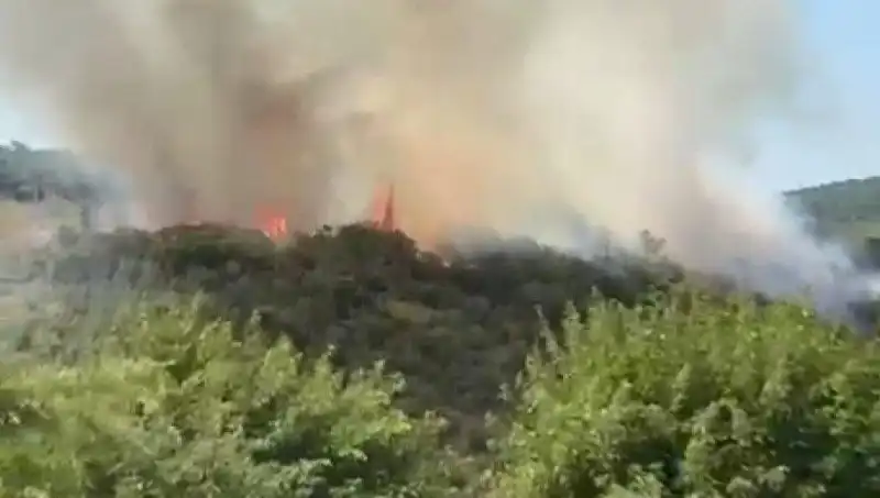 İstanbul'daki Orman Yangını: Vatandaşlar Acil Olarak Tahliye Edildi