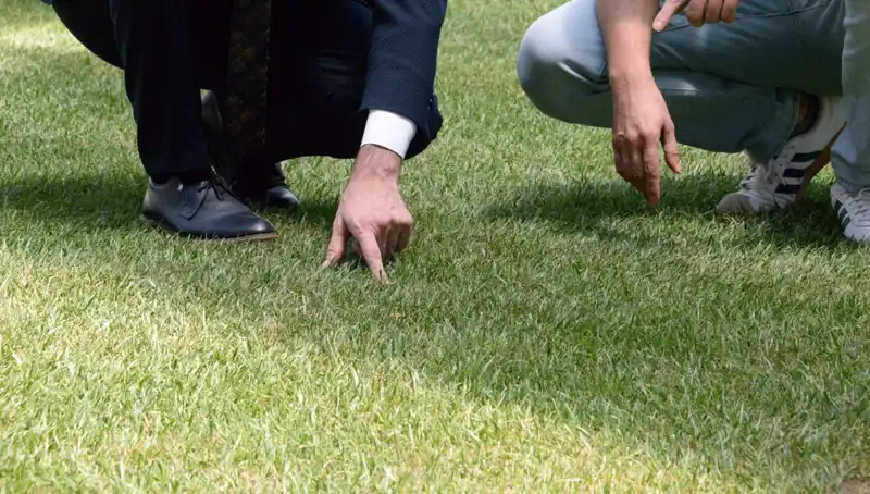 Stadyum Zemininde Son Durum: Taraftarları Heyecanlandıran Gelişmeler!