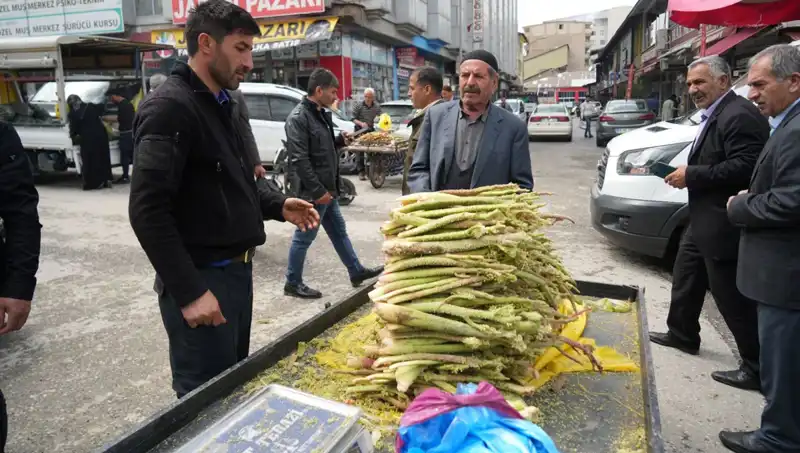 Dağlık Alanlarda Toplanan Şekerin Sağlık Faydaları Neler?
