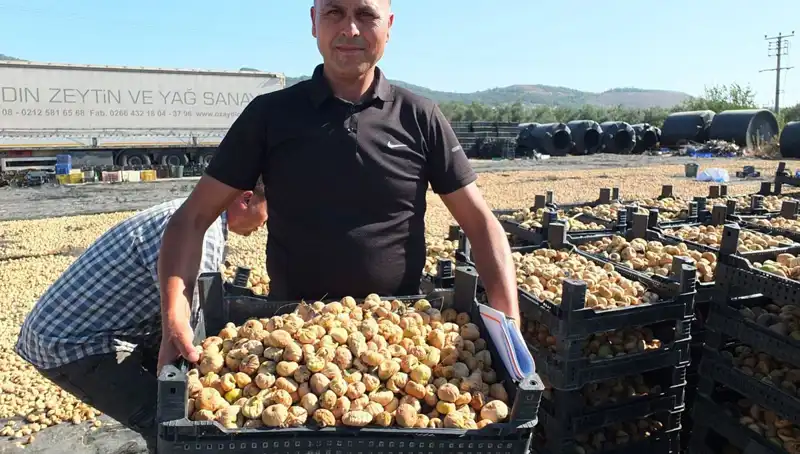 Balıkesir’in Verimli Topraklarından Çin ve Rusya’ya İhracat Rüzgarı