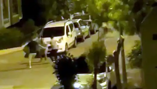 Avcılar’da Saldırıya Uğrayan Vatandaşı Kahramanlar Kurtardı!