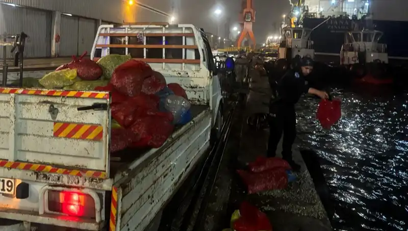 Kaçak Midyeler Kıskıvrak Yakalandı: Doğa koruma ekiplerinden büyük operasyon!