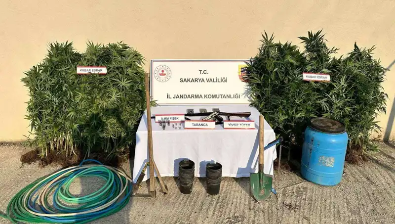 Sakarya’da Uyuşturucu Operasyonunda Bir Tutuklama Gerçekleşti