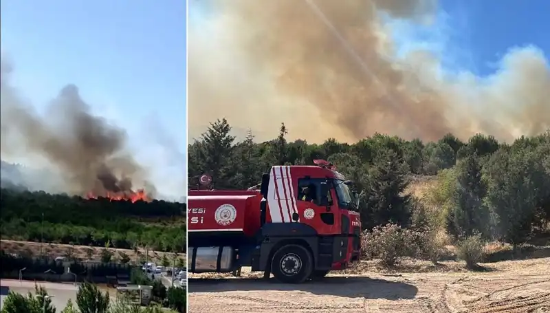 Gebze'de Orman Yangını: Ekosistemi Tehdit Eden Felaketin Detayları