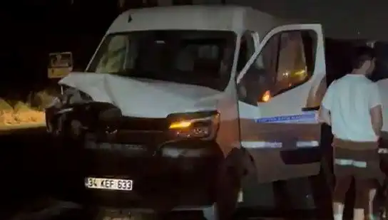 İstanbul'da Manda Kazası: Üç Kişi Yaralandı, Olayın Ayrıntıları Şok Edici