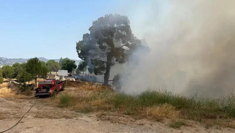 Muğla'da Orman Yangını: Doğa ve Hayat Tehdit Altında
