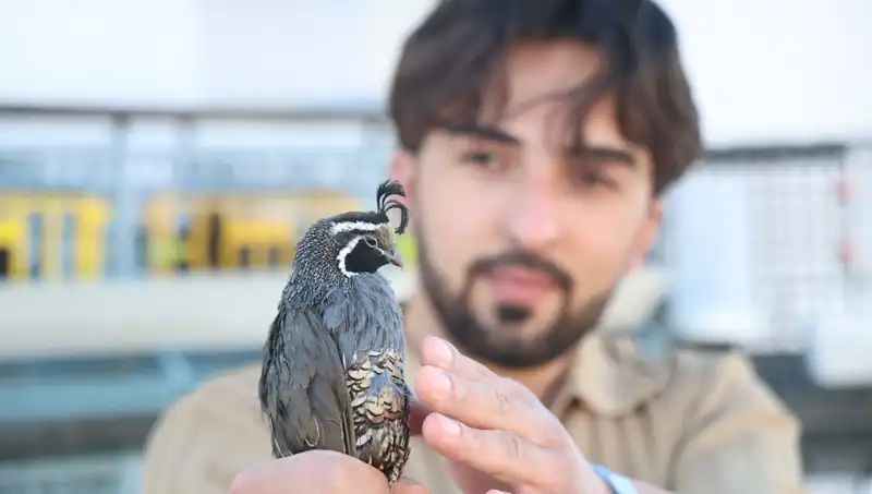 Genç Girişimci, ABD'den Siparişlerle Dünyaya Tarımda Yeni Bir Soluk Getiriyor