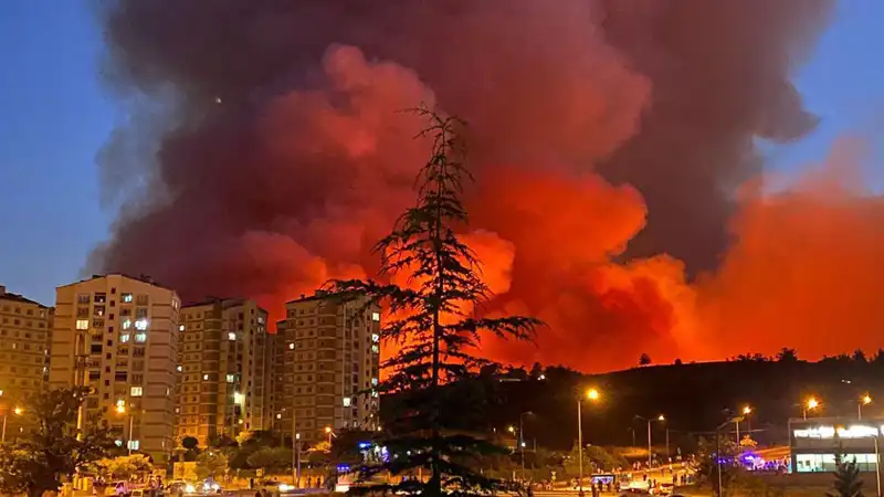 Bursa’da Yangın Felaketi: Şehir Küle Dönüşüyor, Neler Oluyor?