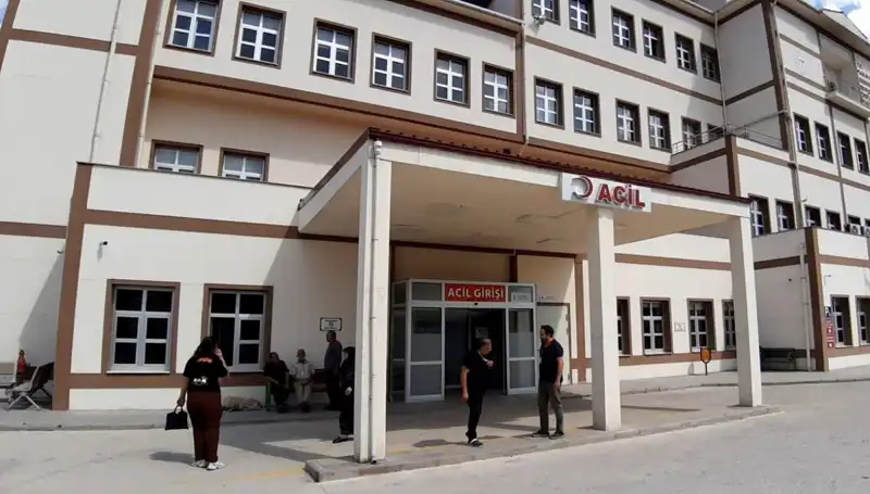 Bolu'da Ayı Avı Kararına Tepkiler Giderek Büyüyor