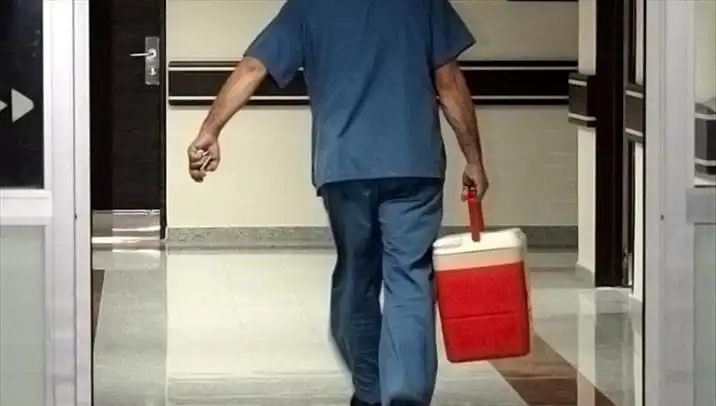 Organ Bağışında Devrim: e-Devlet ve e-Nabız Üzerinden Kolay İşlem Dönemi