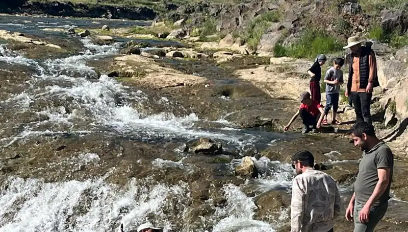 İnci Kefalinin Büyüleyici Göçü: Doğanın Bu Harikası Ziyaretçileri Kendine Çekiyor