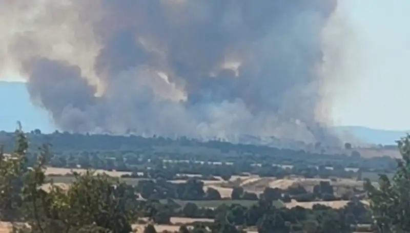 Komşu Ülkedeki Orman Yangını Edirne’yi Nasıl Etkiledi?