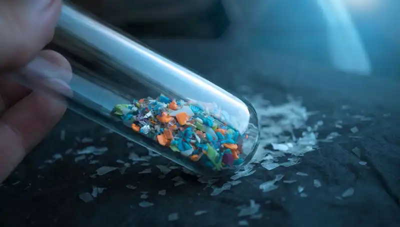 Mikroplastikler Beynimizi Tehdit Ediyor: Sağlık Üzerindeki Etkileri Neler?