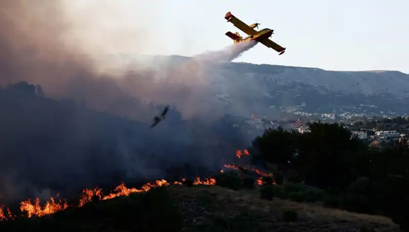 Sakız Adası'ndaki Orman Yangını Kontrol Altına Alındı: Zarar ve Önlemler