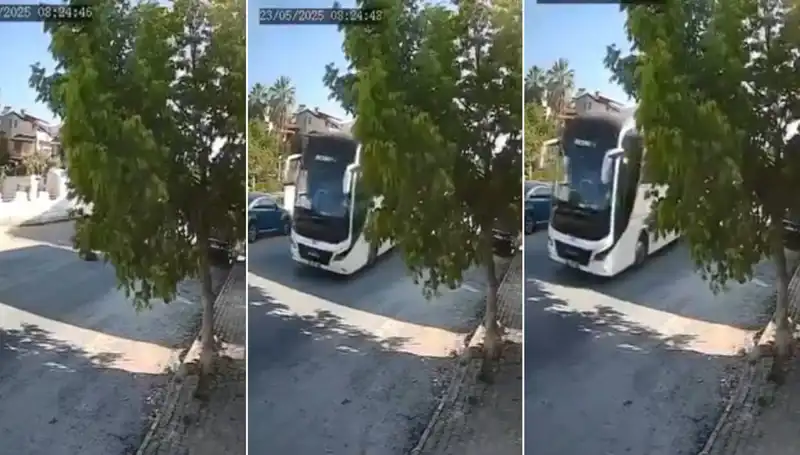 Yolda Yatan Köpeği Ezip Giden Şoförün Kayıtlardaki O Anları Şok Etti