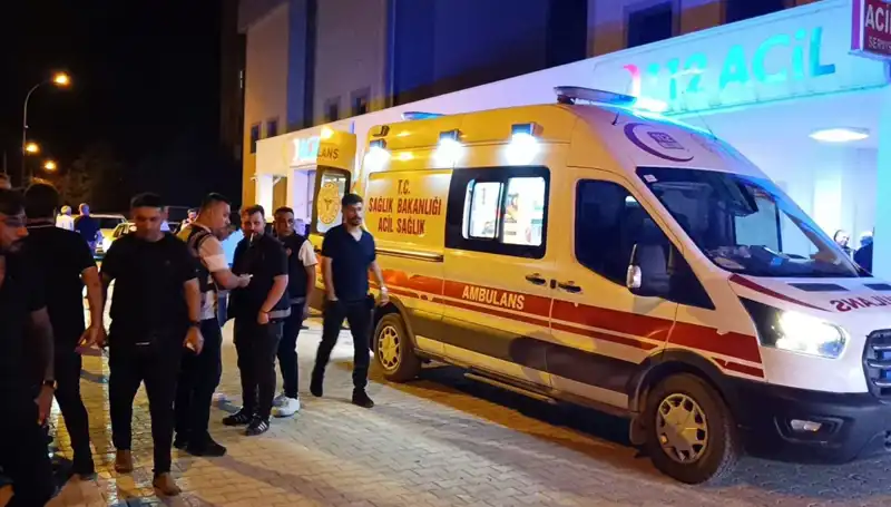 Kardeşine Yardım Etmek İsterken Hayatını Kaybetti: Duygusal Olayın Ardındaki Gerçekler